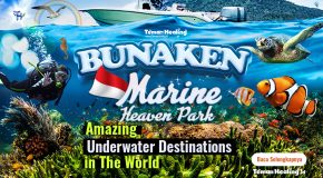 Wisata Seru Taman Laut Terbaik Dunia di Taman Nasional Bunaken