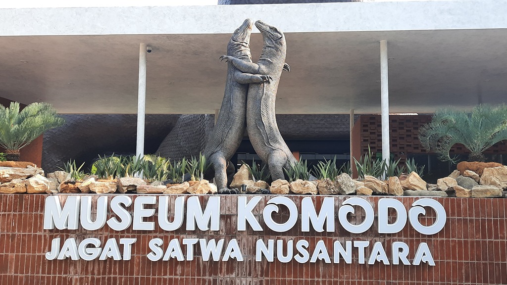 Aktivitas Seru yang Jangan Dilewatkan Selama di TMII Mengenal Reptil di Museum Komodo