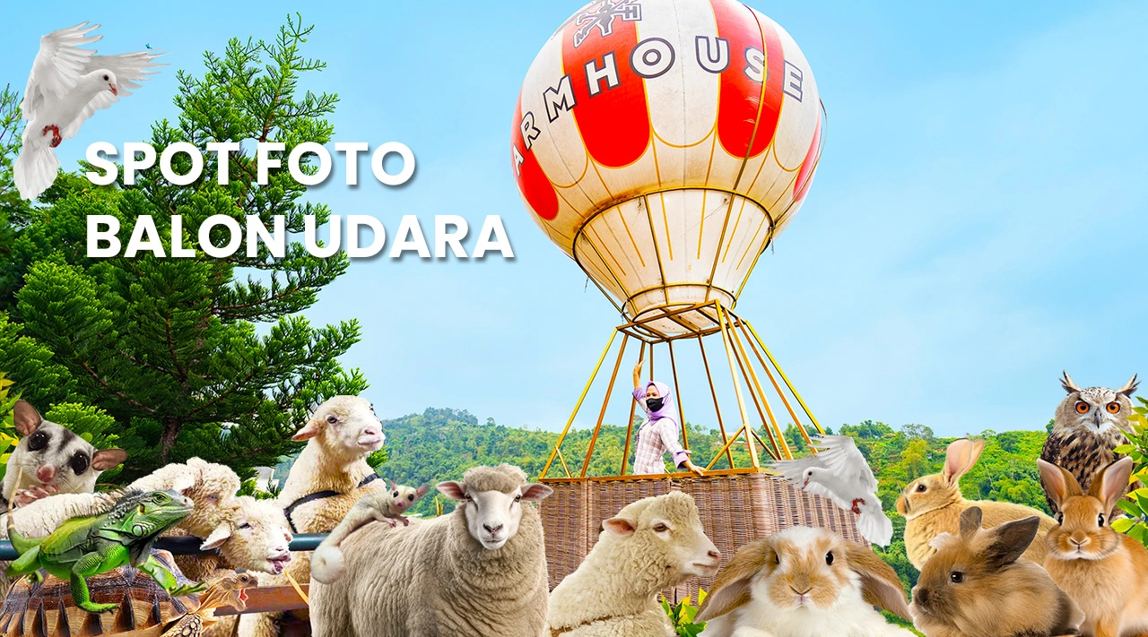 Farmhouse Susu Lembang Bandung